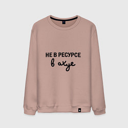 Мужской свитшот Не в ресурсе, в ахуе