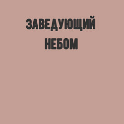 Свитшот хлопковый мужской Заведующий небом, цвет: пыльно-розовый — фото 2