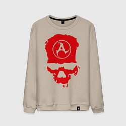 Мужской свитшот Amatory Skull
