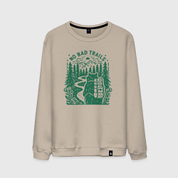 Свитшот хлопковый мужской Медведь путешественник с рюкзаком нет плохих дорог, цвет: миндальный