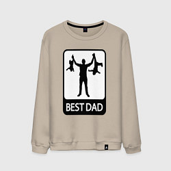 Мужской свитшот Best dad