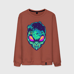 Мужской свитшот Лунный пришелец