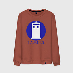 Свитшот хлопковый мужской Blue tardis, цвет: кирпичный