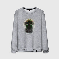 Свитшот хлопковый мужской Ведьма из леса, цвет: меланж