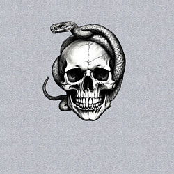 Свитшот хлопковый мужской Череп со змеёй, цвет: меланж — фото 2