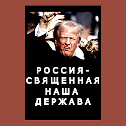 Свитшот хлопковый мужской Мем Трамп после покушения Россия держава, цвет: кирпичный — фото 2