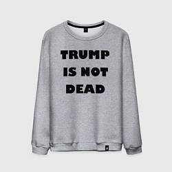 Свитшот хлопковый мужской Trump is not dead - motto, цвет: меланж