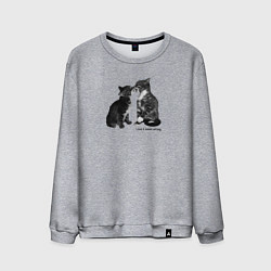 Свитшот хлопковый мужской Kiss the cats, цвет: меланж