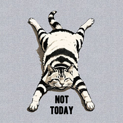 Свитшот хлопковый мужской Ленивый кот - not today, цвет: меланж — фото 2