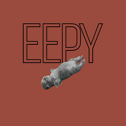 Свитшот хлопковый мужской Eepy, цвет: кирпичный — фото 2