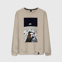 Свитшот хлопковый мужской Голубь на луне делает селфи, цвет: миндальный