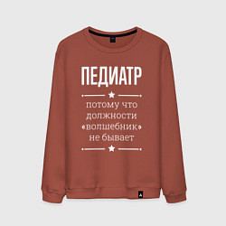 Мужской свитшот Педиатр волшебник