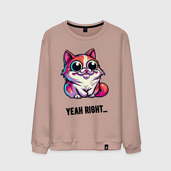 Мужской свитшот Саркастически улыбающийся кот