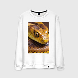 Свитшот хлопковый мужской Песчаная змея, цвет: белый