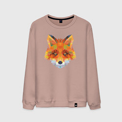 Мужской свитшот Лисичка лоу поли