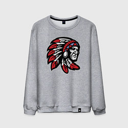 Свитшот хлопковый мужской Indian, цвет: меланж