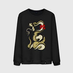 Свитшот хлопковый мужской Золотой удав, цвет: черный