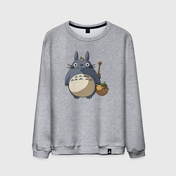 Свитшот хлопковый мужской Смешной тоторо, цвет: меланж