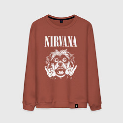 Свитшот хлопковый мужской Nirvana rock dog, цвет: кирпичный