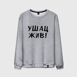 Мужской свитшот Первый советский мем