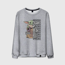 Мужской свитшот Unknown specis - Baby Yoda