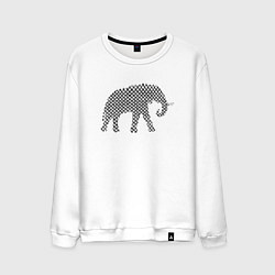 Мужской свитшот Слон в шашечку графика