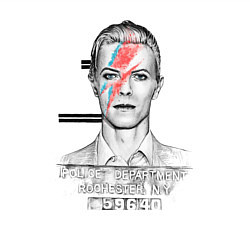 Свитшот хлопковый мужской David Bowie police department rochester, цвет: белый — фото 2