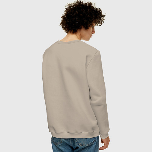 Мужской свитшот Время приключений логотип / Миндальный – фото 4