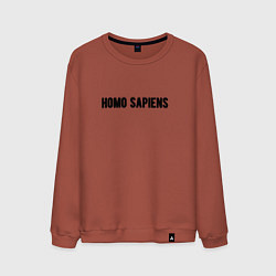 Мужской свитшот Homo sapiens