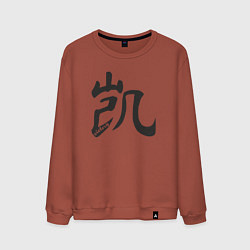 Мужской свитшот Иероглиф победа