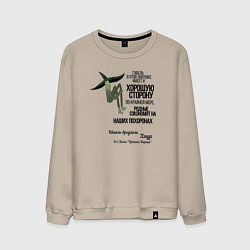 Свитшот хлопковый мужской Хмур, цвет: миндальный