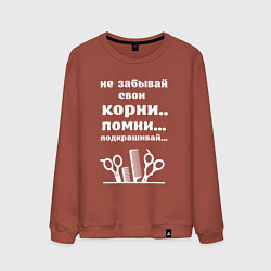 Мужской свитшот Не забывай свои корни - подкрашивай