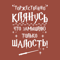 Свитшот хлопковый мужской Замышляю только шалость, цвет: кирпичный — фото 2