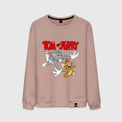 Свитшот хлопковый мужской Том и Джерри - погоня, цвет: пыльно-розовый