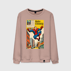 Мужской свитшот Spider-Trump superhero