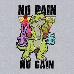 Свитшот хлопковый мужской T Rex GYM - no pain no gain, цвет: меланж — фото 2