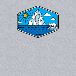 Свитшот хлопковый мужской Северный мишка, цвет: меланж — фото 2