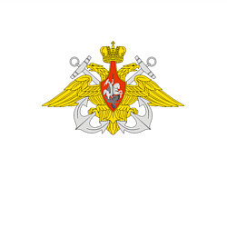 Свитшот хлопковый мужской Военно-морской флот: орёл, цвет: белый — фото 2