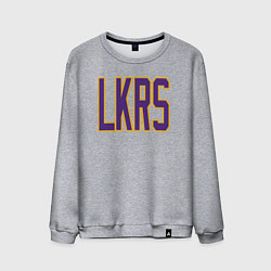 Мужской свитшот Team LKRS