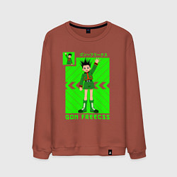 Свитшот хлопковый мужской Хантер Гон, цвет: кирпичный