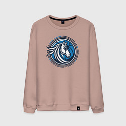Мужской свитшот Mavericks NBA