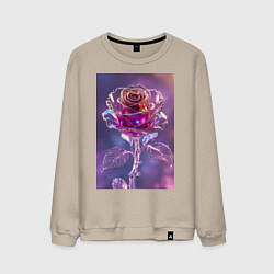 Свитшот хлопковый мужской Кристальная роза, цвет: миндальный
