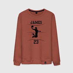 Свитшот хлопковый мужской James 23, цвет: кирпичный