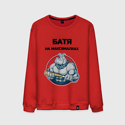 Мужской свитшот Батя на максималках