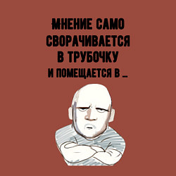 Свитшот хлопковый мужской Ваше мнение само, цвет: кирпичный — фото 2