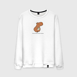 Мужской свитшот Капибара правильное питание