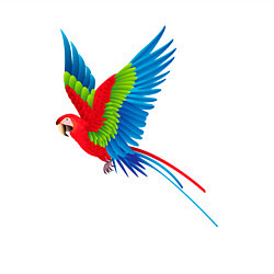 Свитшот хлопковый мужской Экзотический попугай, цвет: белый — фото 2