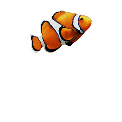 Свитшот хлопковый мужской Рыбка попугай, цвет: белый — фото 2