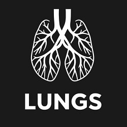 Свитшот хлопковый мужской Легкие анатомические, цвет: черный — фото 2