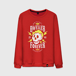 Свитшот хлопковый мужской Обитель - навсегда, цвет: красный